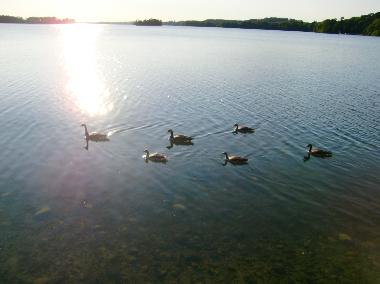 Seele baumeln lassen am Kellersee
