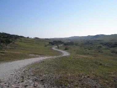 Radweg durch die Dnen nach Schoorl am Meer
