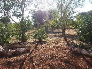 Ferienhaus in Villa castelli (Brindisi) oder Ferienwohnung oder Ferienhaus