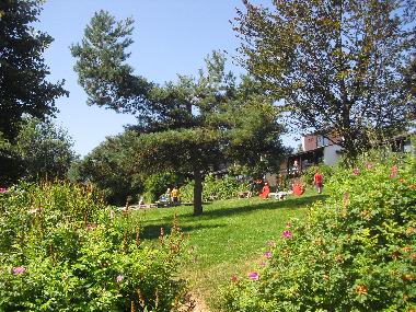Chalet in Virton (Wallonien) oder Ferienwohnung oder Ferienhaus
