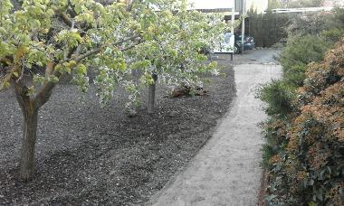 Chalet in Ciudad Real (Ciudad Real) oder Ferienwohnung oder Ferienhaus