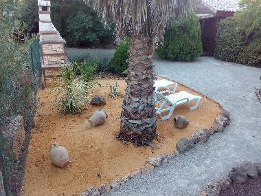 Chalet in Ciudad Real (Ciudad Real) oder Ferienwohnung oder Ferienhaus