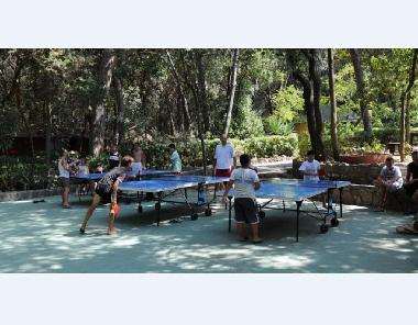 Ferienhaus in Marina di Cecina (Livorno) oder Ferienwohnung oder Ferienhaus