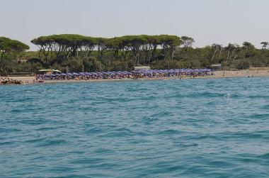 Ferienhaus in Marina di Cecina (Livorno) oder Ferienwohnung oder Ferienhaus