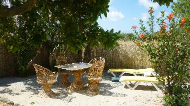 Ferienhaus in Foros da pereira (Alentejo Litoral) oder Ferienwohnung oder Ferienhaus