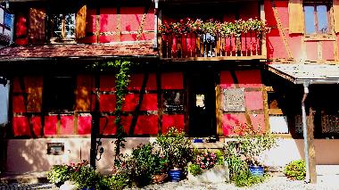 Ferienhaus in olwisheim (Bas-Rhin) oder Ferienwohnung oder Ferienhaus