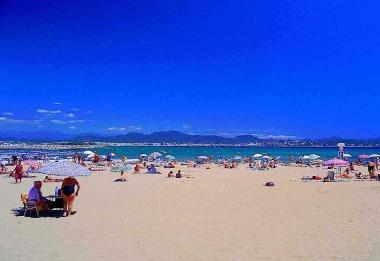 Ferienhaus in St aygulf  (Var) oder Ferienwohnung oder Ferienhaus