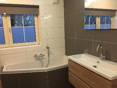 Ferienhaus in Paasloo (Overijssel) oder Ferienwohnung oder Ferienhaus