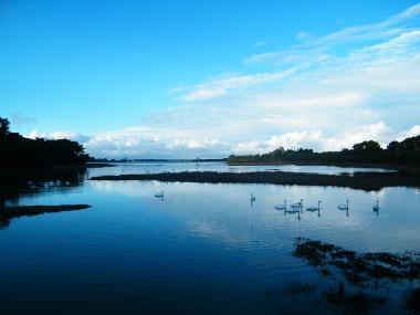 Villa in Sarzeau (Morbihan) oder Ferienwohnung oder Ferienhaus