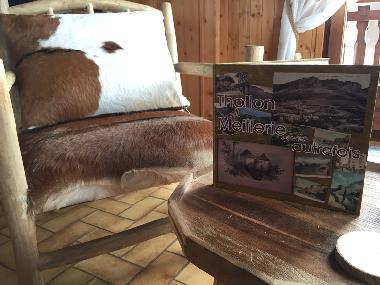 Chalet in Thollon-les-M�mises (Haute-Savoie) oder Ferienwohnung oder Ferienhaus