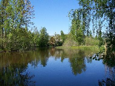 Fluss Silver�n 300 m vom Haus