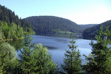 Ferienwohnung in Alpirsbach (Schwarzwald) oder Ferienwohnung oder Ferienhaus