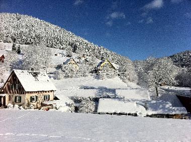 Ferienwohnung in Alpirsbach (Schwarzwald) oder Ferienwohnung oder Ferienhaus