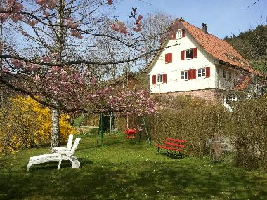 Ferienwohnung in Alpirsbach (Schwarzwald) oder Ferienwohnung oder Ferienhaus