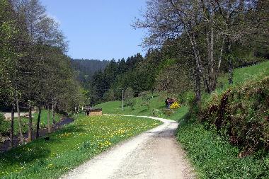 Ferienwohnung in Alpirsbach (Schwarzwald) oder Ferienwohnung oder Ferienhaus