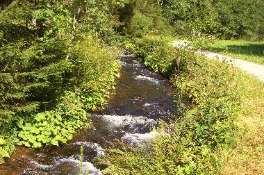 Ferienwohnung in Alpirsbach (Schwarzwald) oder Ferienwohnung oder Ferienhaus