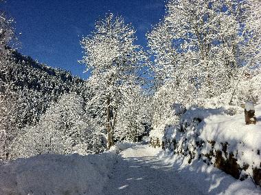 Ferienwohnung in Alpirsbach (Schwarzwald) oder Ferienwohnung oder Ferienhaus