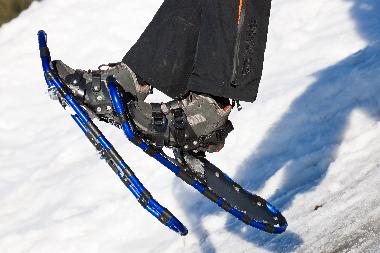 Ferienwohnung in Millstatt (Oberkrnten) oder Ferienwohnung oder Ferienhaus