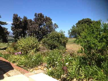 Ferienhaus in Somerset West (Western Cape) oder Ferienwohnung oder Ferienhaus