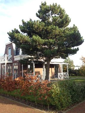 Ferienhaus in Noordwijk (Zuid-Holland) oder Ferienwohnung oder Ferienhaus