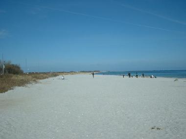 Ferienhaus in Sch�nhagen (Ostsee-Festland) oder Ferienwohnung oder Ferienhaus