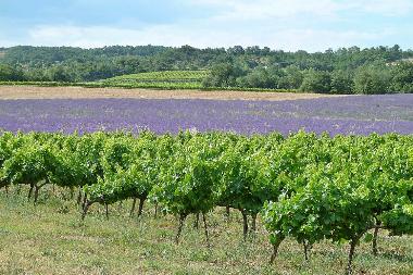 Ferienhaus in Valreas (Vaucluse) oder Ferienwohnung oder Ferienhaus