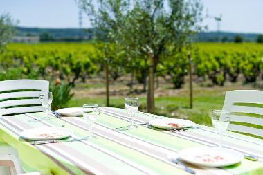 Ferienhaus in Valreas (Vaucluse) oder Ferienwohnung oder Ferienhaus
