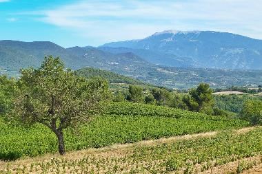 Ferienhaus in Valreas (Vaucluse) oder Ferienwohnung oder Ferienhaus