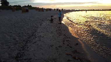 Abendd�mmderung an der Ostseek�ste