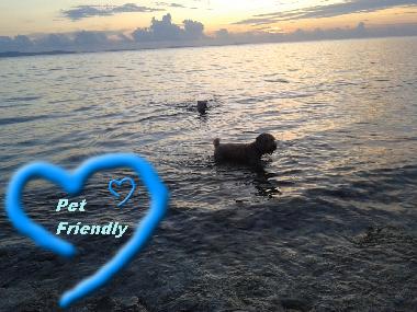 Ferienwohnung in Petrcane,Zadar (Zadarska) oder Ferienwohnung oder Ferienhaus