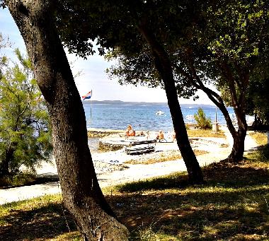 Ferienwohnung in Petrcane,Zadar (Zadarska) oder Ferienwohnung oder Ferienhaus