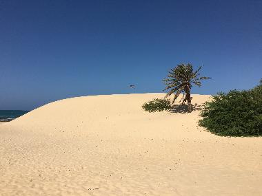 D�ne am Praia de Chaves