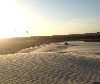 Buggytour �ber die Sandd�nen