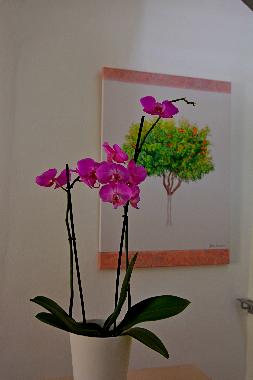 Ferienhaus in Chania (Chania) oder Ferienwohnung oder Ferienhaus