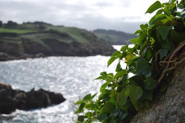 Ferienhaus in Ploz�vet (Finist�re) oder Ferienwohnung oder Ferienhaus