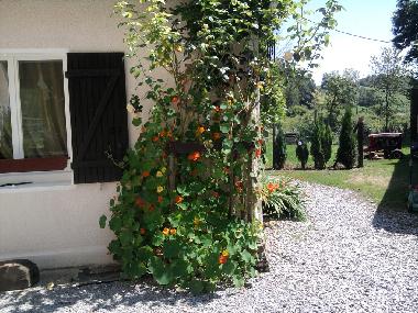 Ferienwohnung in buzy (Pyr�n�es-Atlantiques) oder Ferienwohnung oder Ferienhaus