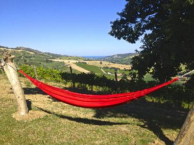 Haengematte mit Meerblick