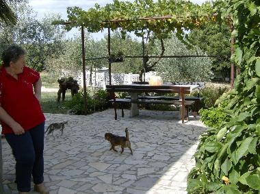 Haustiere herzlich willkommen