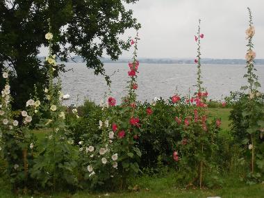 Ausblick von der Terrasse