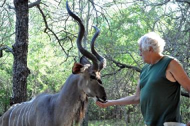Ferienhaus in Marloth Park (Mpumalanga) oder Ferienwohnung oder Ferienhaus