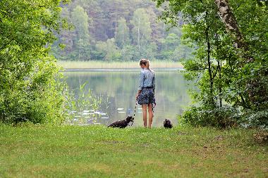 Urlaub mit Hund