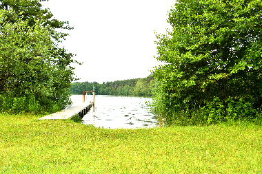 Waldsee mit Steganlage garantieren Badespa