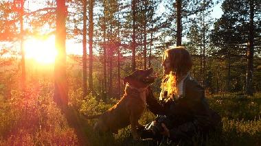 Waldspaziergang mit Ihrem Hund