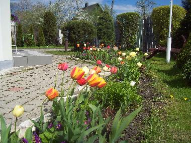 Ferienwohnung in Jurmala (Lettland) oder Ferienwohnung oder Ferienhaus