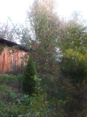 Ferienhaus in Shiroka Laka-Solishta (Smolyan) oder Ferienwohnung oder Ferienhaus