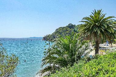 Ferienhaus in Le Rayol-Canadel (Var) oder Ferienwohnung oder Ferienhaus