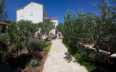 Ferienwohnung in Supetar (Splitsko-Dalmatinska) oder Ferienwohnung oder Ferienhaus