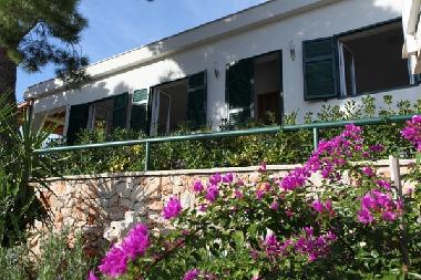 Ferienhaus in Milna (Splitsko-Dalmatinska) oder Ferienwohnung oder Ferienhaus