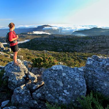 Pension in Cape Town (Western Cape) oder Ferienwohnung oder Ferienhaus