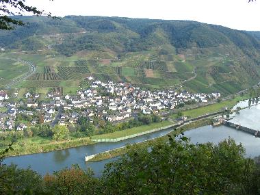 Ferienhaus in Bruttig-Fankel (Mosel - Saar) oder Ferienwohnung oder Ferienhaus